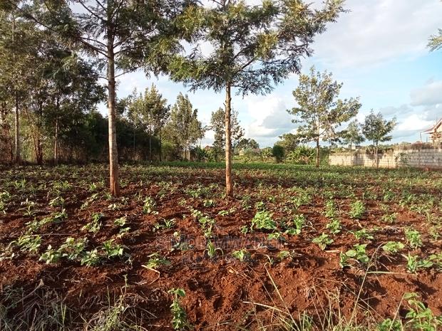 82*165 Residential Land on Sale at Ruiru - thumbnail 4