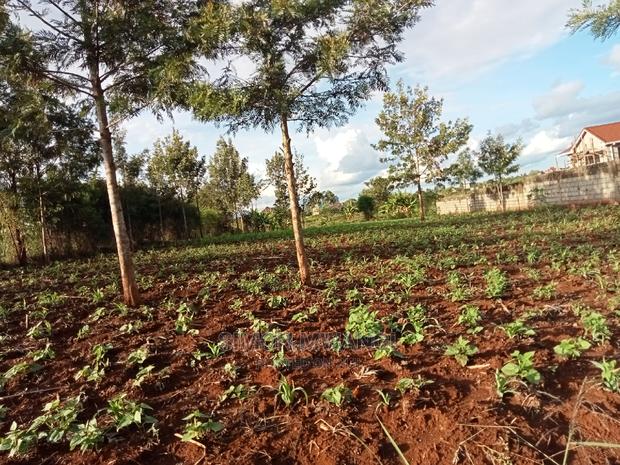 82*165 Residential Land on Sale at Ruiru - thumbnail 6