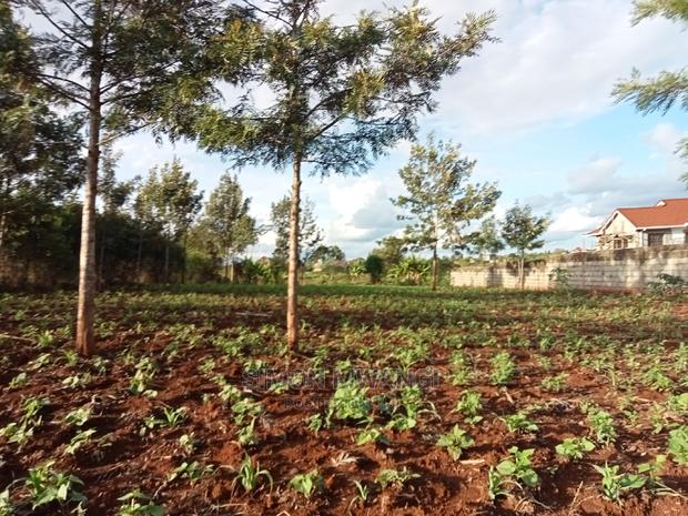 82*165 Residential Land on Sale at Ruiru - thumbnail 7