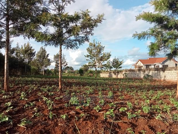 82*165 Residential Land on Sale at Ruiru - thumbnail 5