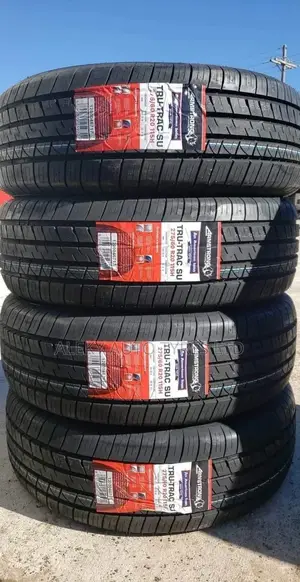 275/60 R 20 Armstrong Tyre