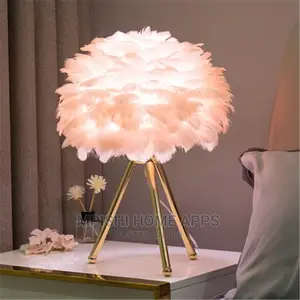 LED Feather Light