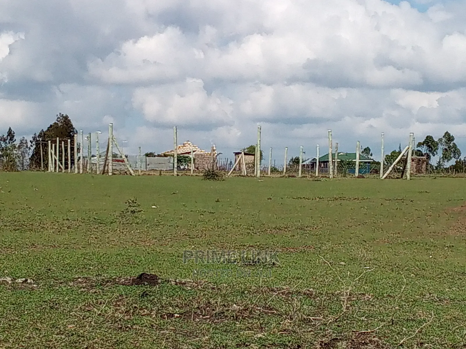 Prime 40 X 45 Plot