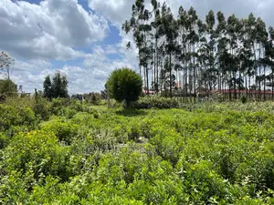 Prime Half Acre Land for Sale in Limuru, Kamandura.