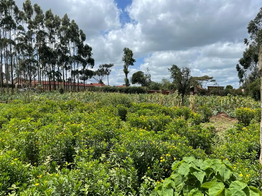 Prime Half Acre Land for Sale in Limuru, Kamandura.