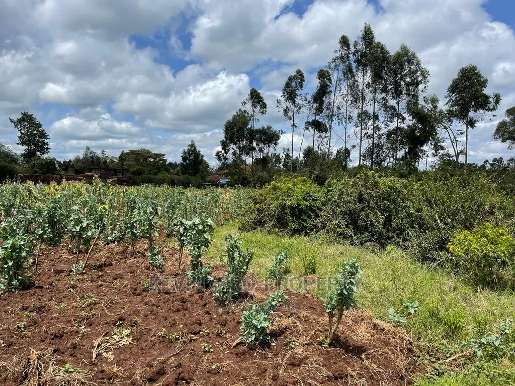 Prime Half Acre Land for Sale in Limuru, Kamandura.