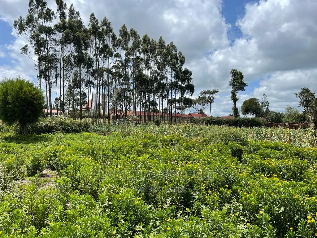 Prime Half Acre Land for Sale in Limuru, Kamandura.