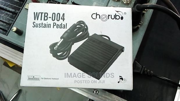 Sustain Pedal- Small - main view