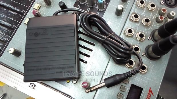 Sustain Pedal- Small - thumbnail 3