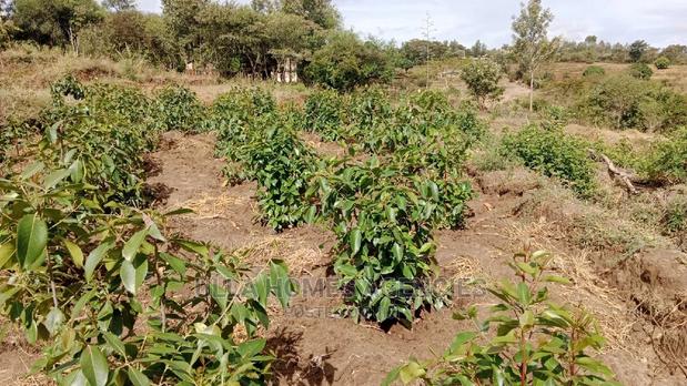 10 Acres at Malili,Konza Near Tecno Citu - main view