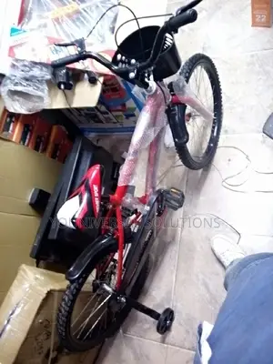 Premier Size 20 Bicycle.