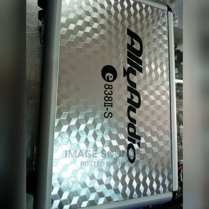 Microphone Ally Audio E838s