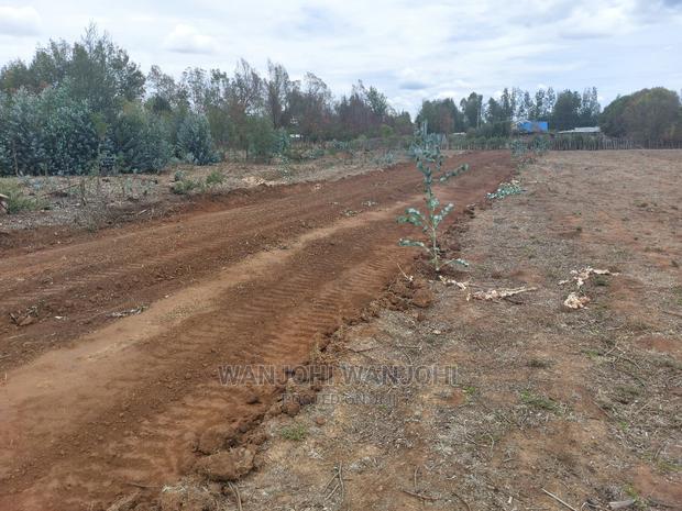 Prime Plots in Nyandarua