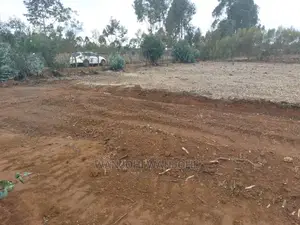 Prime Plots in Nyandarua