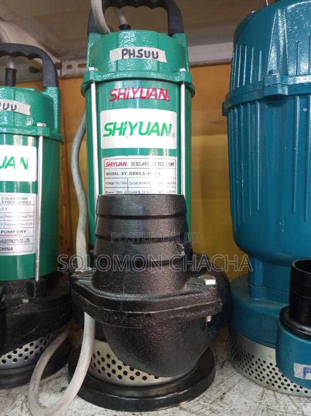 Shiyuan 3inch DC Solar Submersible Pump - main view