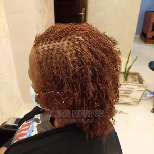 Sisterlocks Locks Installation