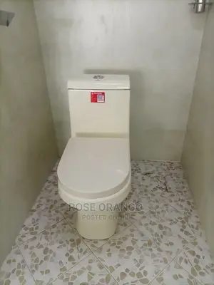 One Piece Toilet on Sale