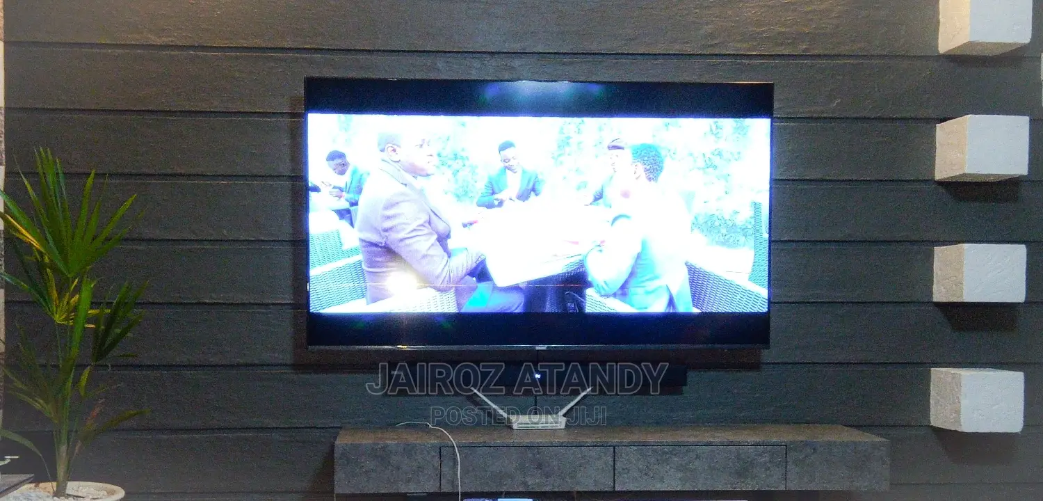 TV Mounting and Installation