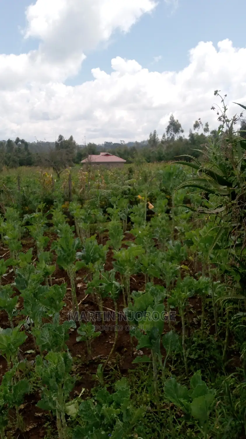 100 by 100 Plots Murengeti, Limuru