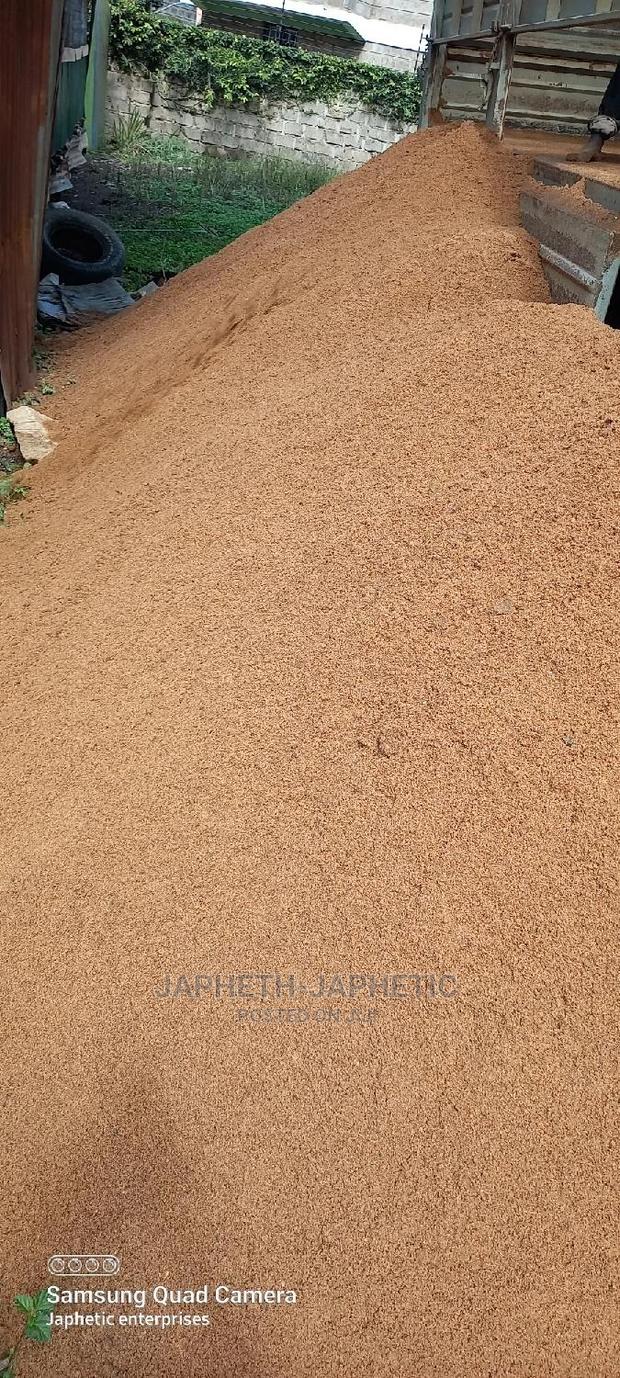 Clean River Sand - thumbnail 2