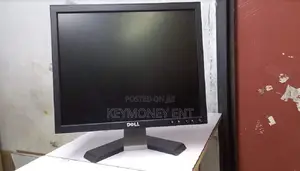 Full HD Resolution 17 Inches Dell Monitor