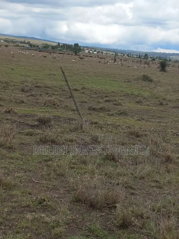 50 by 100 Plots on Sale at Isinya