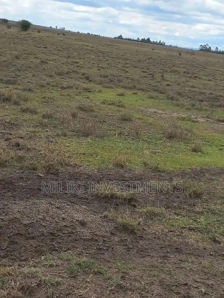 50 by 100 Plots on Sale at Isinya
