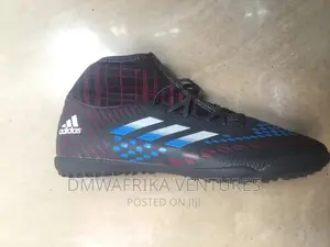 Standard Trainers For Football And Coaching