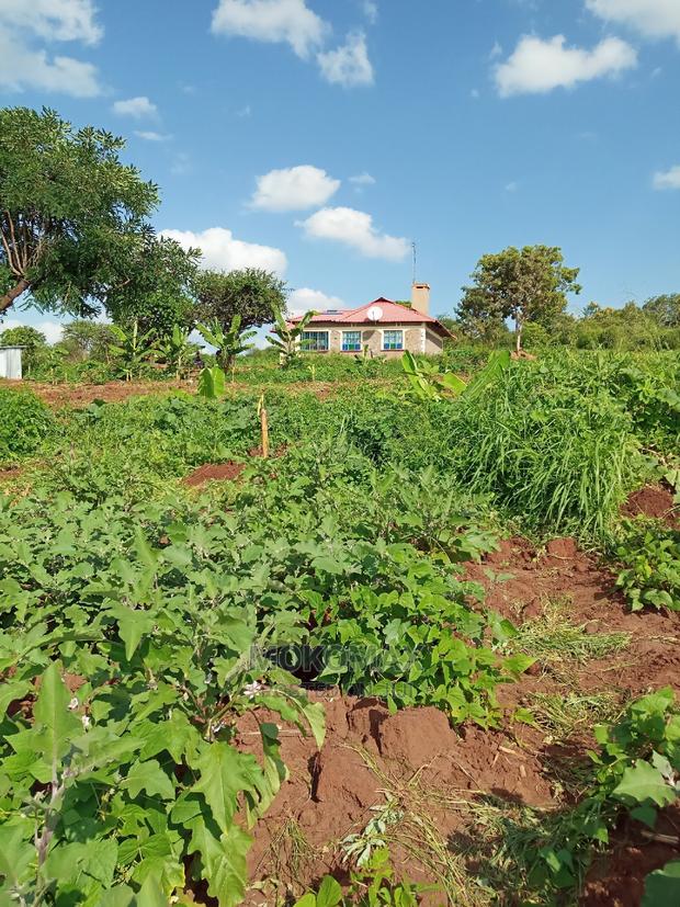 Land/House for Sale. - main view