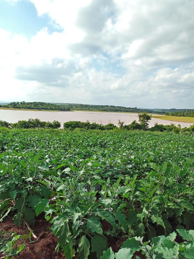 Land/House for Sale. - thumbnail 3