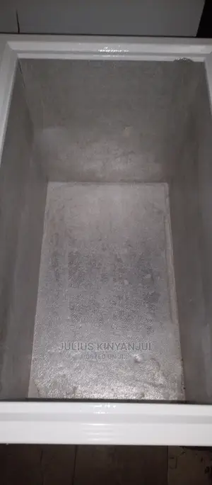 Deep Freezer 250L