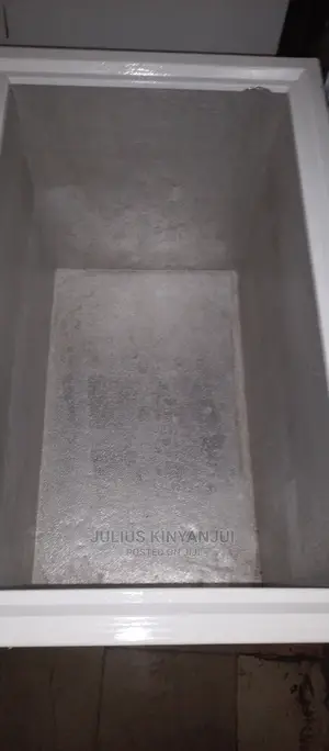 Deep Freezer 250L