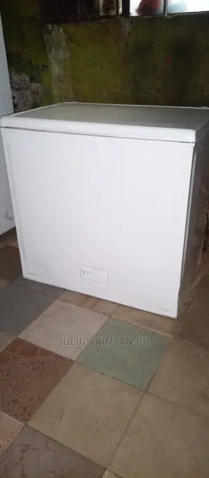 Deep Freezer 250L