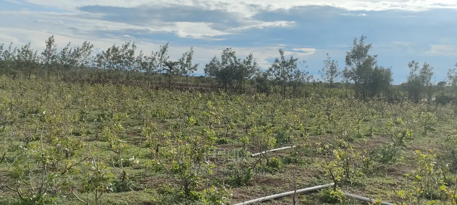 8 .5 Acres Nanyuki/Muramati