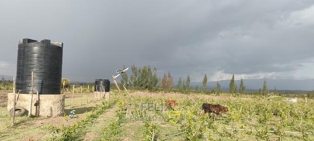 8 .5 Acres Nanyuki/Muramati - thumbnail 7