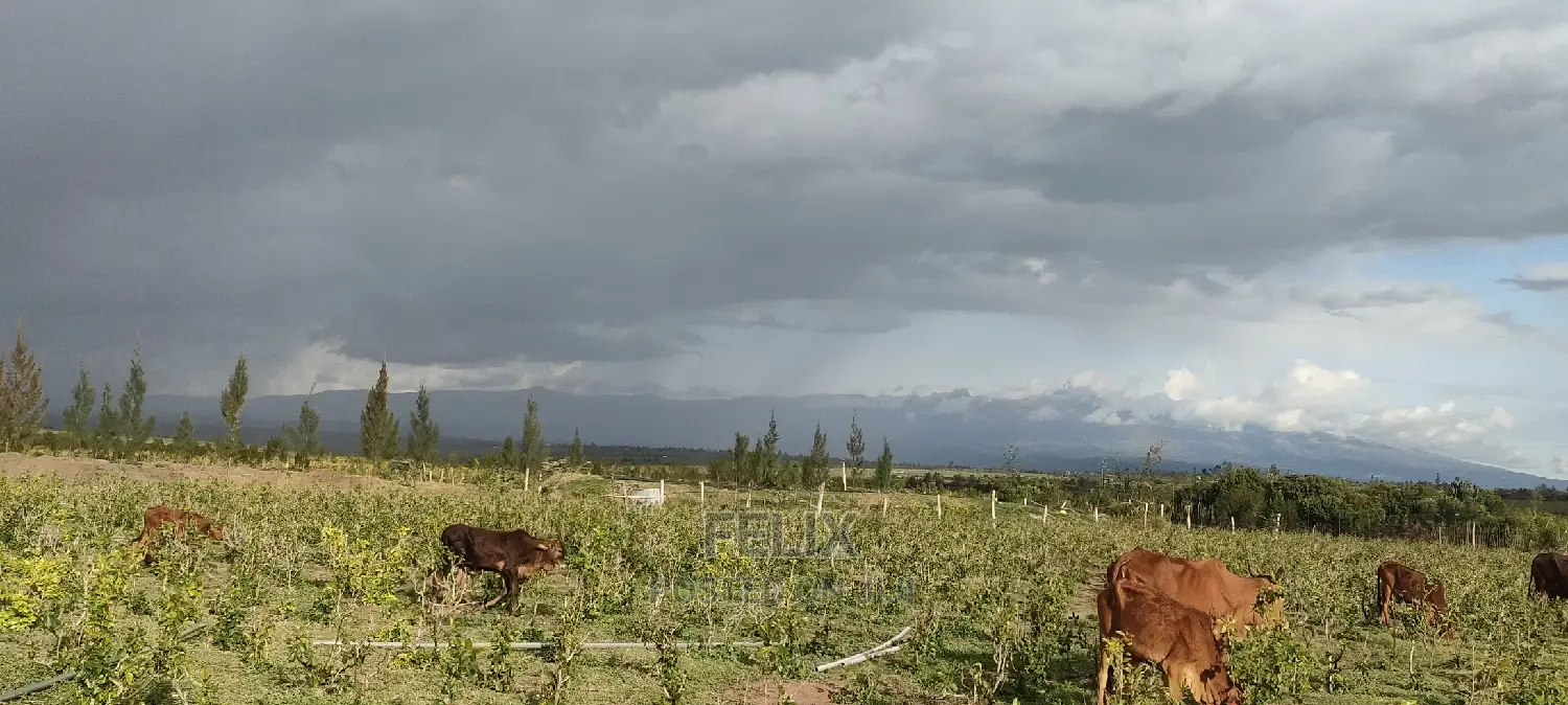 8 .5 Acres Nanyuki/Muramati