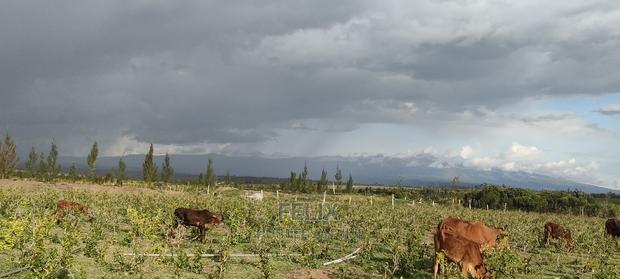 8 .5 Acres Nanyuki/Muramati - thumbnail 6