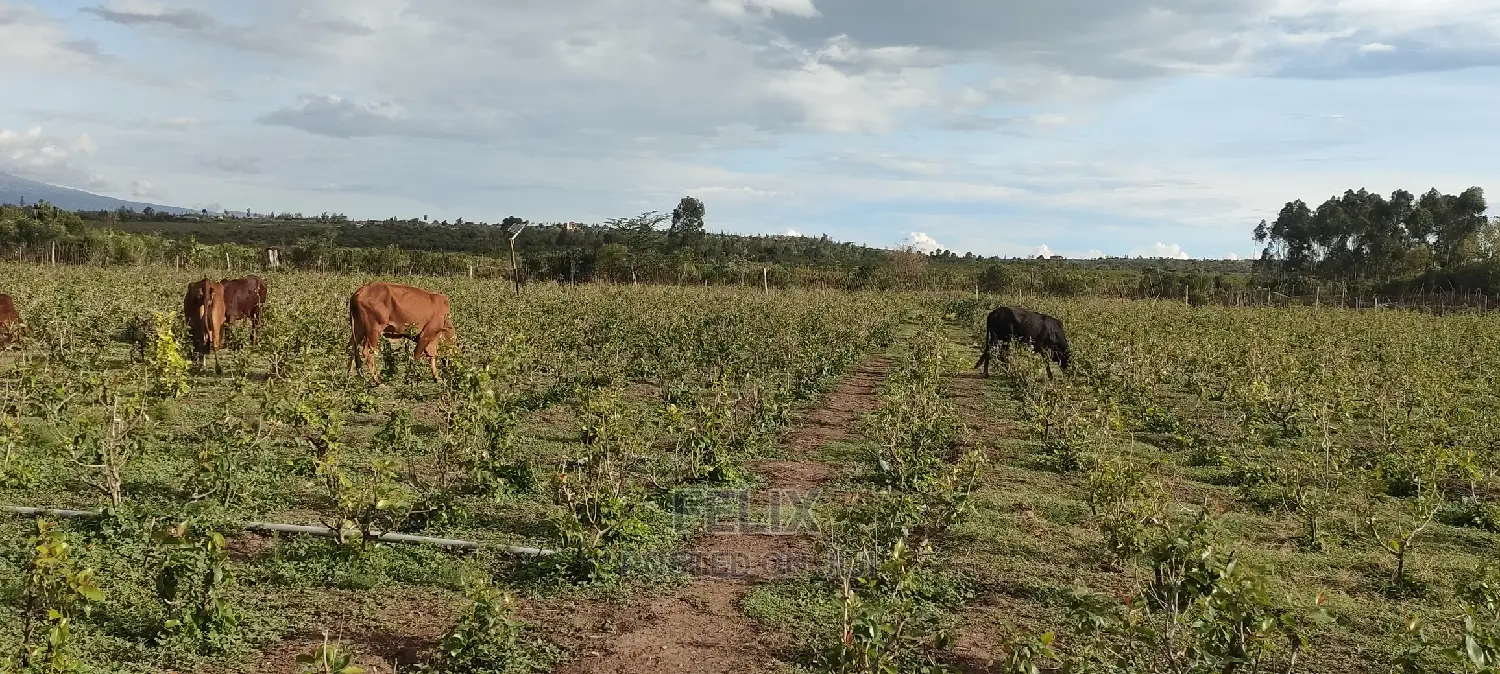 8 .5 Acres Nanyuki/Muramati