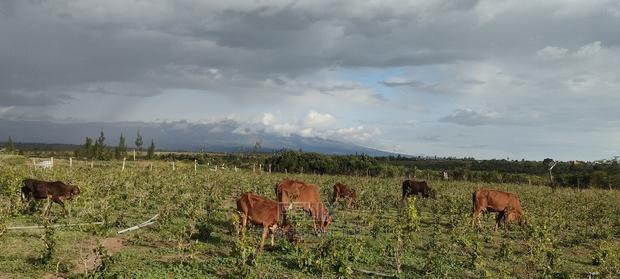 8 .5 Acres Nanyuki/Muramati - thumbnail 5