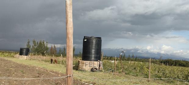 8 .5 Acres Nanyuki/Muramati - thumbnail 12