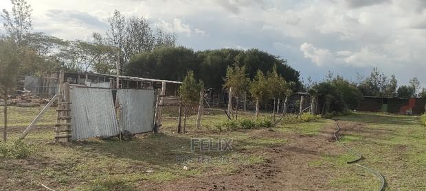 8 .5 Acres Nanyuki/Muramati - thumbnail 11