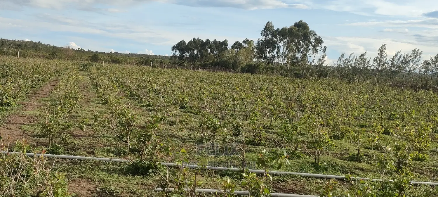 8 .5 Acres Nanyuki/Muramati