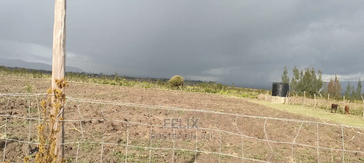 8 .5 Acres Nanyuki/Muramati