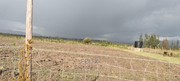 8 .5 Acres Nanyuki/Muramati - thumbnail 13