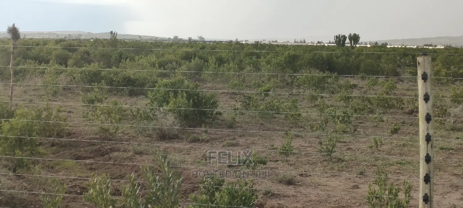 25 Acres Nanyuki/ Maiyan