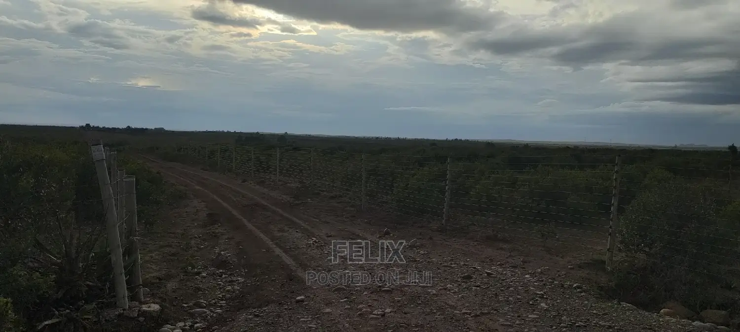 25 Acres Nanyuki/ Maiyan