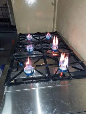 Gas Cooker Stainless Steel ( Commercial Gas Cooker)