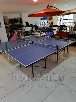 Brand New Good Quality Foldable Table Tennis