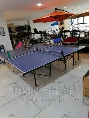 Brand New Foldable Table Tennis