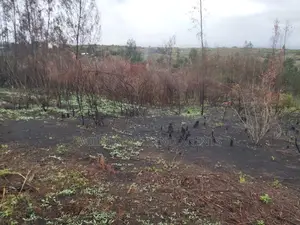 Land on Sale at Turasha Ririshua Kinangop